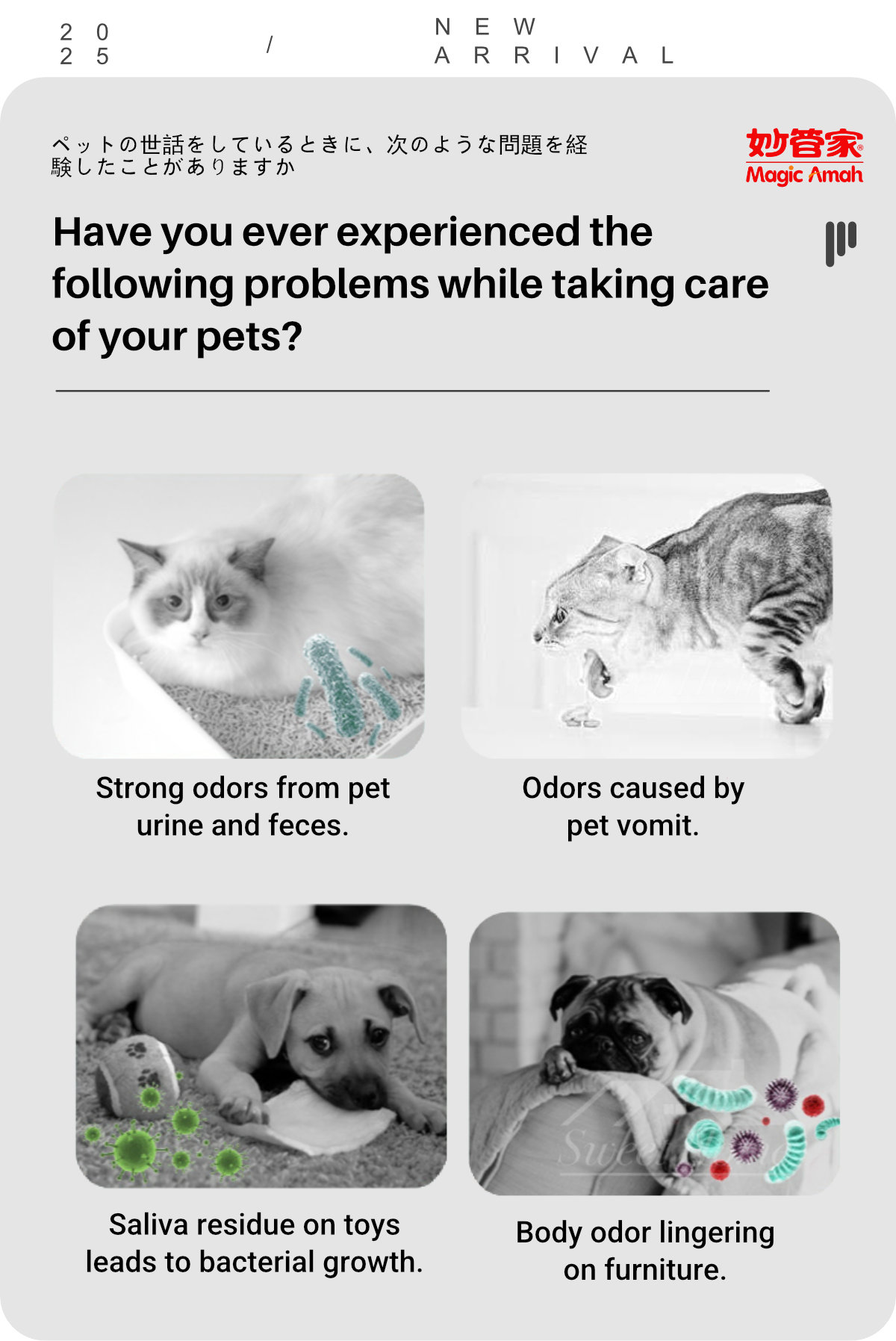 36027-Deodorant Spray for Pets Home-Green Tea-2